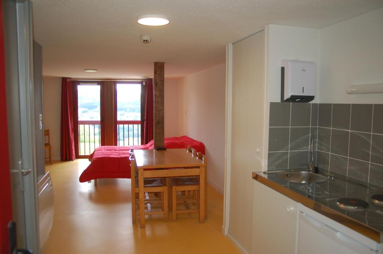 Gite Du Haut Cantal - Appartements Meubles Avec Kitchenette Et Chambres Sans Kitchenette Condat  Екстер'єр фото