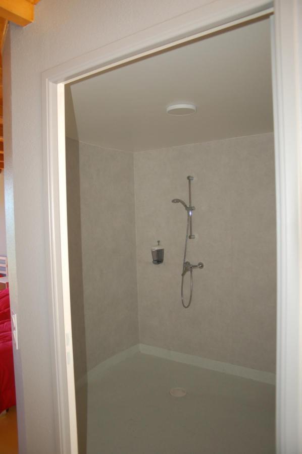 Gite Du Haut Cantal - Appartements Meubles Avec Kitchenette Et Chambres Sans Kitchenette Condat  Екстер'єр фото