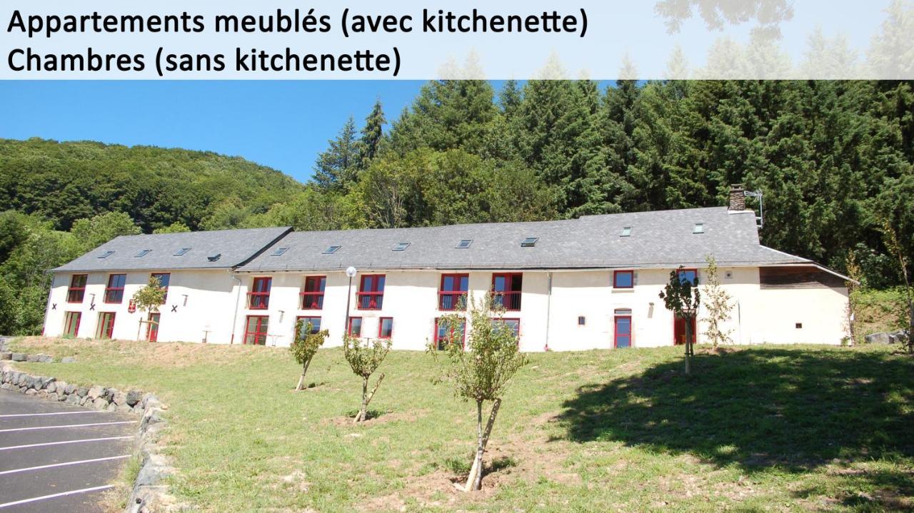 Gite Du Haut Cantal - Appartements Meubles Avec Kitchenette Et Chambres Sans Kitchenette Condat  Екстер'єр фото